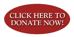 DonateNow